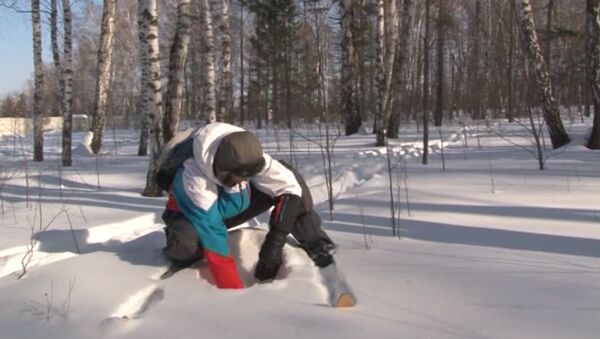 Уральские ученые искали обломки метеорита по приметам на снегу