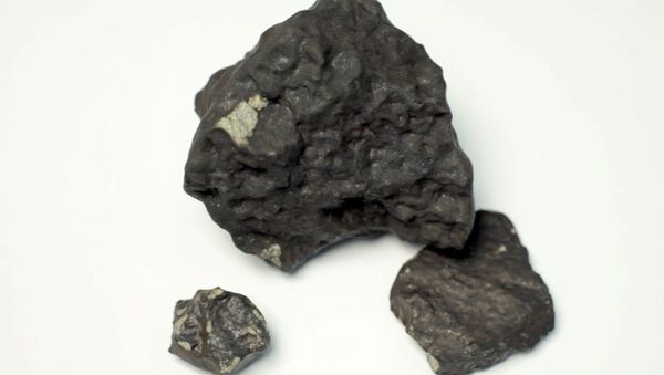 Ученые показали самый крупный из найденных осколков челябинского метеорита