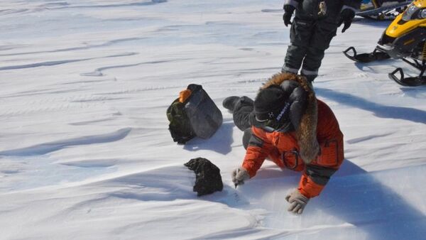 Бельгийские и японские ученые обнаружили в Антарктиде метеорит весом 18 кг