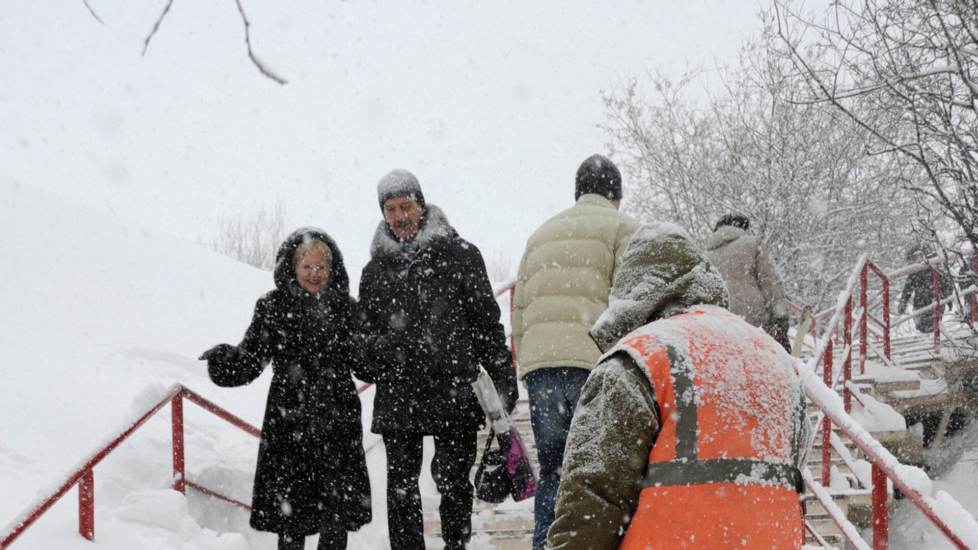 Снегопад - РИА Новости, 1920, 13.12.2025