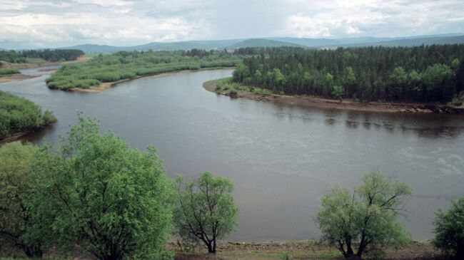 Район реки Обь рядом с местом ее пересечения с Транссибирской магистралью