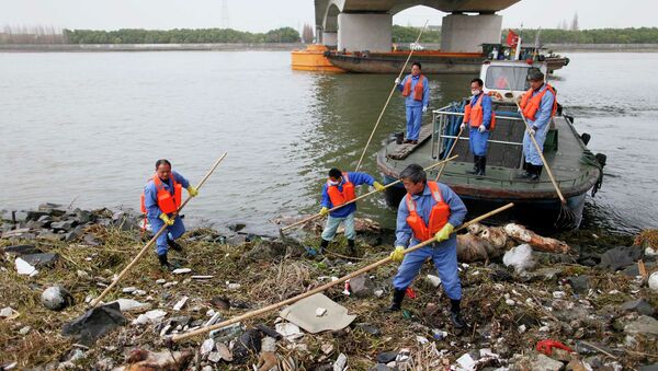 Работы на реке Хуанпу, снабжающей питьевой водой Шанхай, где количество выловленных мертвых свиных туш превысило 7 тысяч