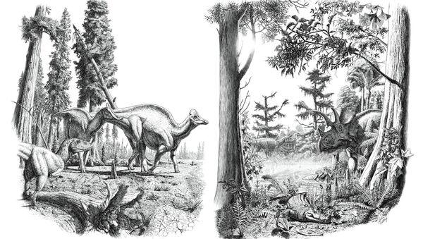 Население района канадского города Драмеллер около 68 миллионов лет назад в эпоху сухого и холодного климата (слева) и влажного и теплого