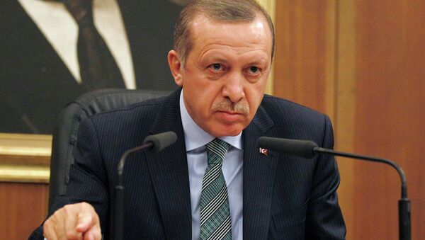 Премьер-министр Турции Тайип Эрдоган обращается к журналистам в аэропорту Анкары перед вылетом в Данию