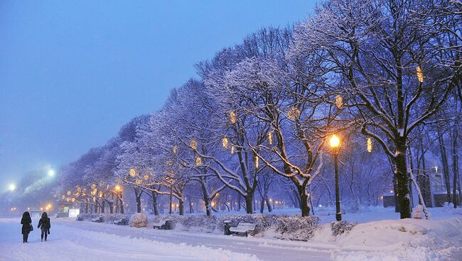 Зима в Москве. Архивное фото