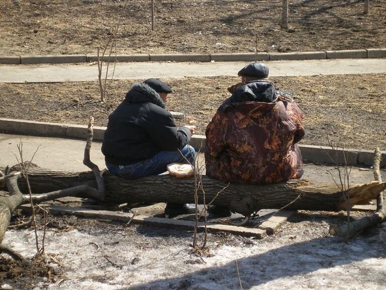 Срубленные деревья во Владивостоке