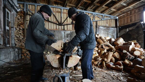 Рабочие перерабатывают на дрова отходы производства на лесопромышленном предприятии Абсолют-М. Архивное фото
