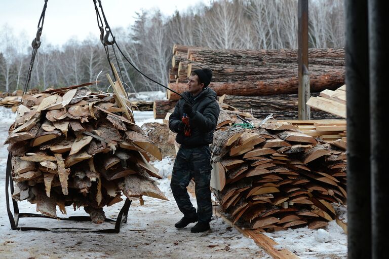 Рабочий грузит обрезки древесины на производственном участке переработки древесины ГУП Ордынский лесхоз