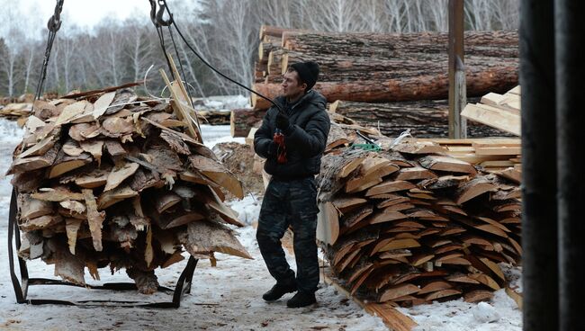 Рабочий грузит обрезки древесины, архивное фото