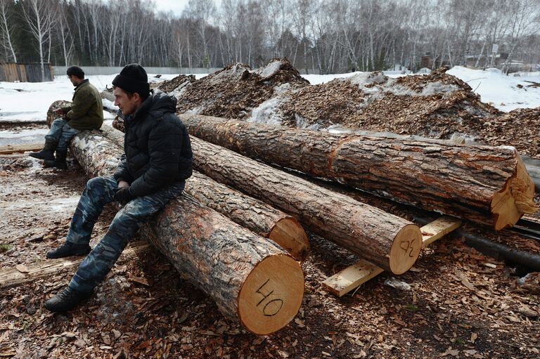 Участок производства декоративных изделий на лесопромышленном предприятии