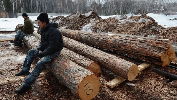 Работа лесопромышленного предприятия