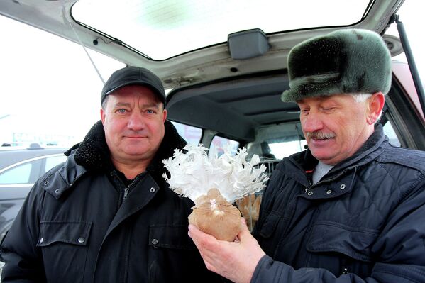 Александр Рыжов и Валерий Геращенко с представителем декоративной породы голубей - Павлин