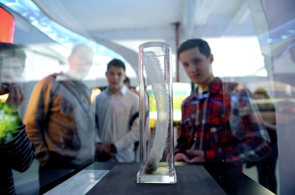 Посетители рассматривают один из экспонатов международной мультимедийной выставки Научный туннель Макса Планка