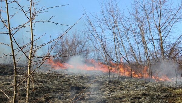 Пожар на горе Тугая в Горно-Алтайске