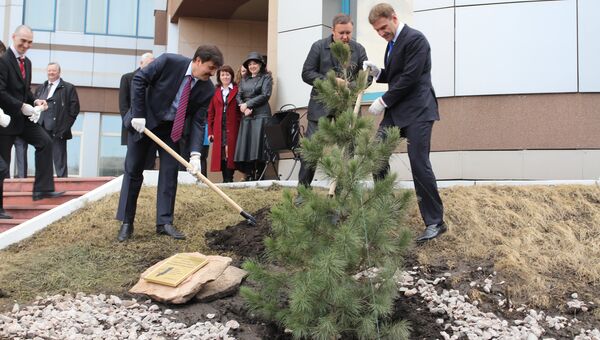 Кедр посадили в Красноярске в память 50-летия визита Юрия Гагарина