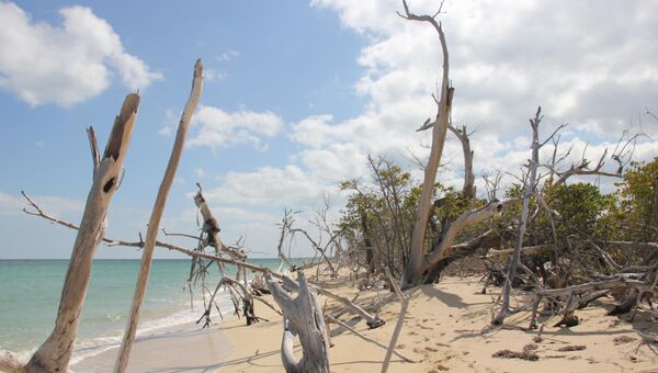 Куба может потерять 2,4% своей территории из-за повышения уровня океана