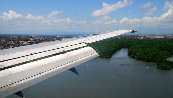 Посадка самолета на Бали. Архивное фото