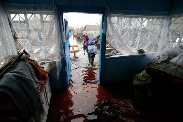 Жительница деревни Хлупин Гомельской области заходит в затопленный паводком дом