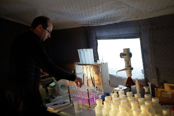 Российский ученый проводит химический анализ полученной из ледяных цилиндров - кернов льда на дрейфующей ледовой станции Барнео в районе Северного Полюса