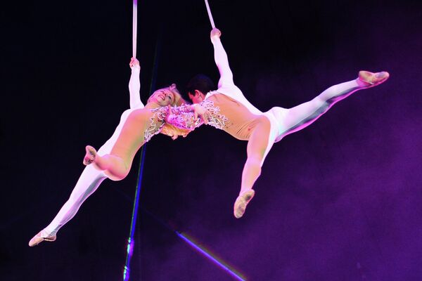 Воздушные гимнасты Екатерина Остудина и Сергей Остудин выступают на арене Сочинского цирка