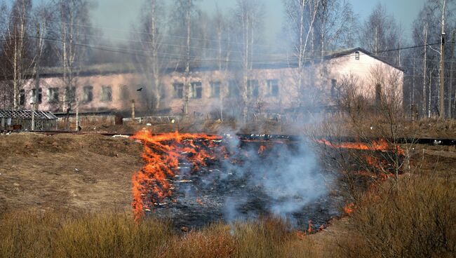 Пал сухой травы в Новгородской области