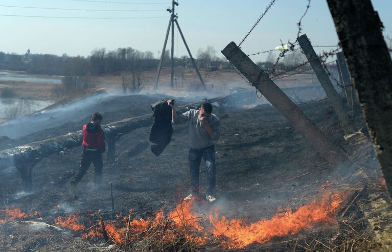 Молодой человек пытается потушить очаг возгорания сухой травы в городе Сольцы Новгородской области