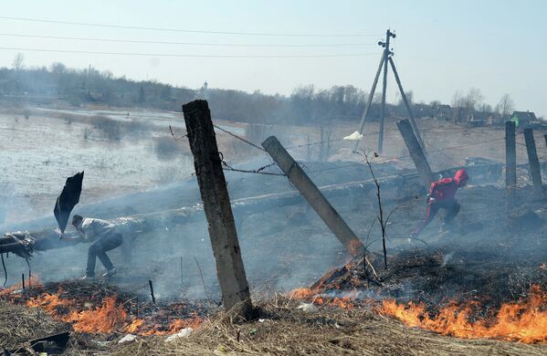 Молодой человек пытается потушить очаг возгорания сухой травы в городе Сольцы Новгородской области