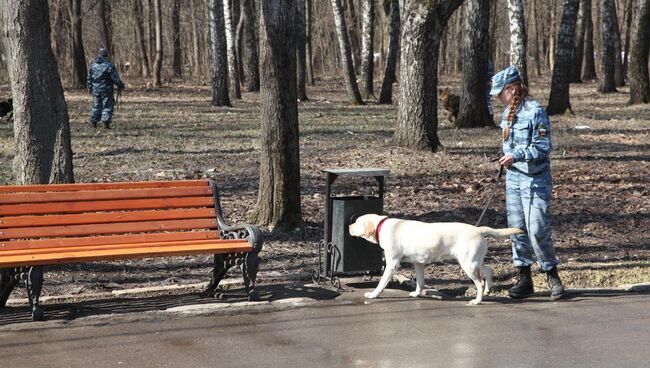 На месте взрыва в парке в Туле