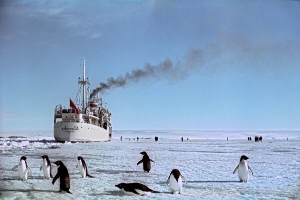 Теплоход Кооперация у берегов Антарктиды