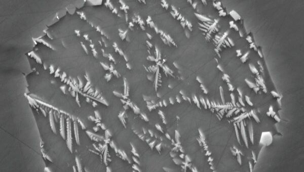 Микрофотография среза фрагмента лунной мантии, извлеченного из образцов с “Аполлона-17”