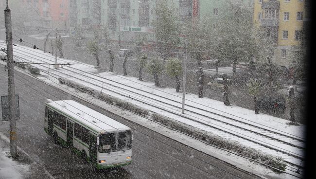 Снегопад в Барнауле 11 мая 2013 года