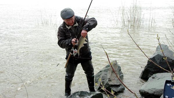 Мужчина поймал рыбу на реке Обь под Новосибирском