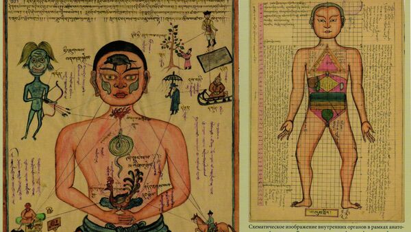 Фрагмент атласа тибетской медицины