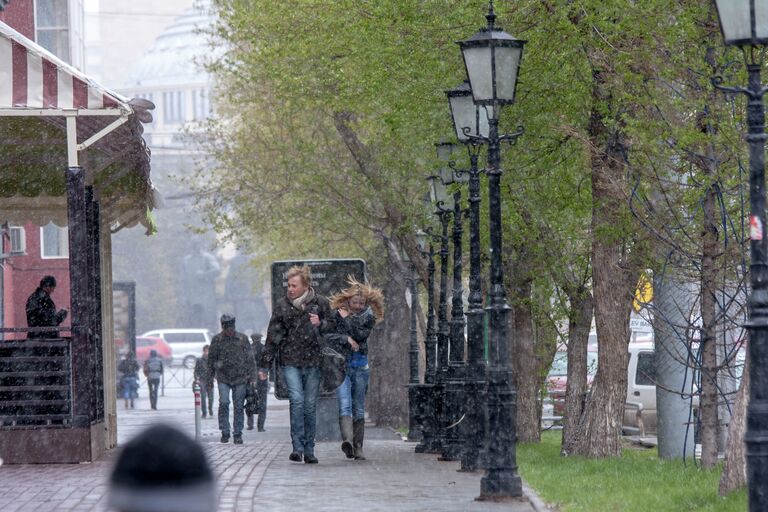 Метель в Новосибирске 13 мая