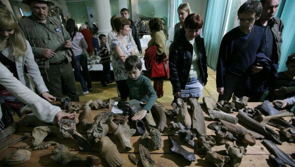 Посетители Новосибирского государственного краеведческого музея во время акции Ночь в музее