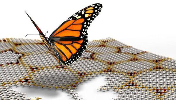 Бабочка-монарх на фоне листов графена и нитрида бора, в которых живет ее квантовая “кузина”
