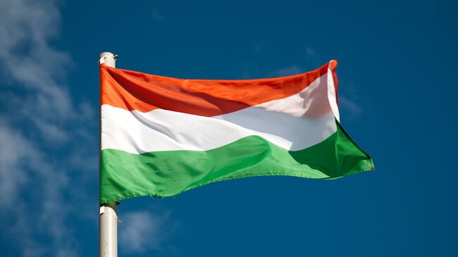 Флаг Венгрии. Архивное фото