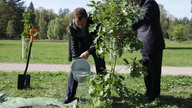 Дмитрий медведев сажает дерево