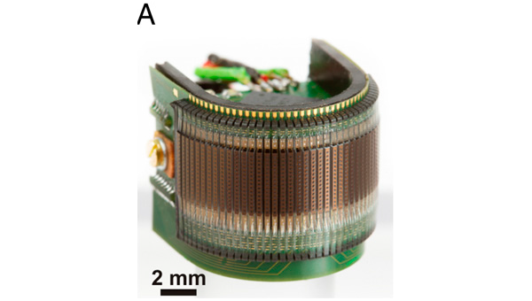 Электронный аналог глаза мушки-дрозофилы, собранный из 600 микрокамер
