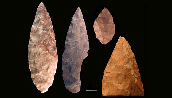 Орудия труда, изготовленные древними жителями Южной Африки во время одной из культурных “революций” 75 тысяч лет назад