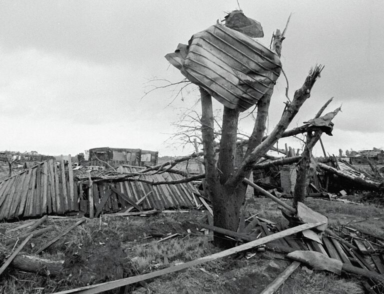 Лист кровельного железа, заброшенный на дерево ураганом 1984 г. в Ивановской области