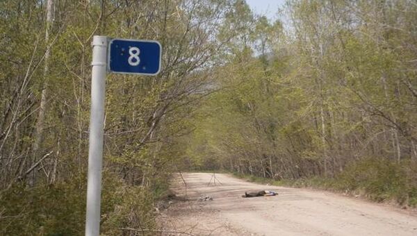Водитель без прав насмерть сбил своего пассажира в Приморье и скрылся