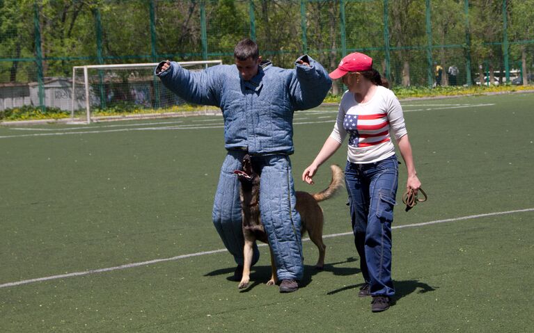 Яркое шоу служебных собак во Владивостоке