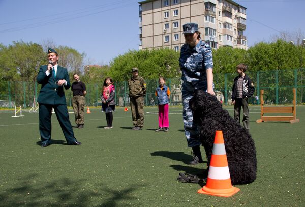 Яркое шоу служебных собак во Владивостоке