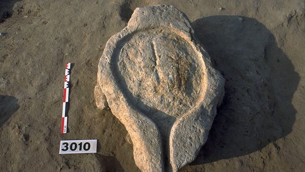 Этрусская давильня, обнаруженная археологами в фундаменте древнего дома на юге Франции