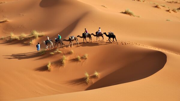 Пустыня Сахара. Архивное фото