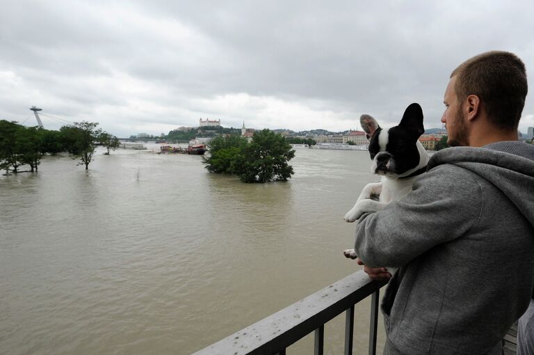 Наводнение в Братиславе