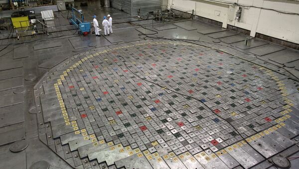 Ядерный реактор на АЭС. Архивное фото