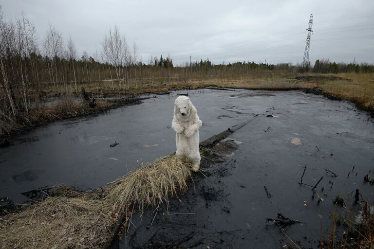 Разливы нефти на Мамонтовском месторождении в ХМАО