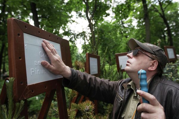 Посетитель у композиции Ботанический сад для невидящих на фестивале ландшафтного дизайна Императорские сады России